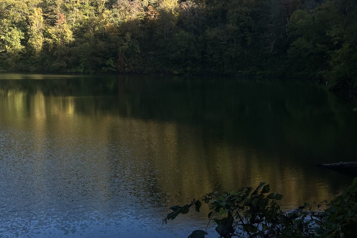 Half Moon Lake ringed by summer forest