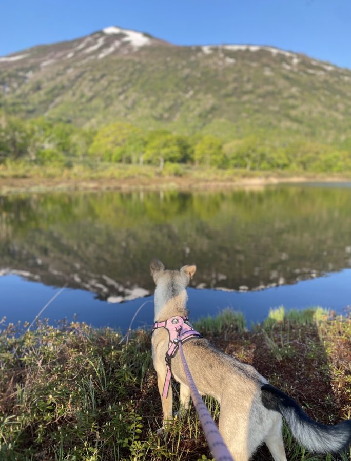 Mirror pond