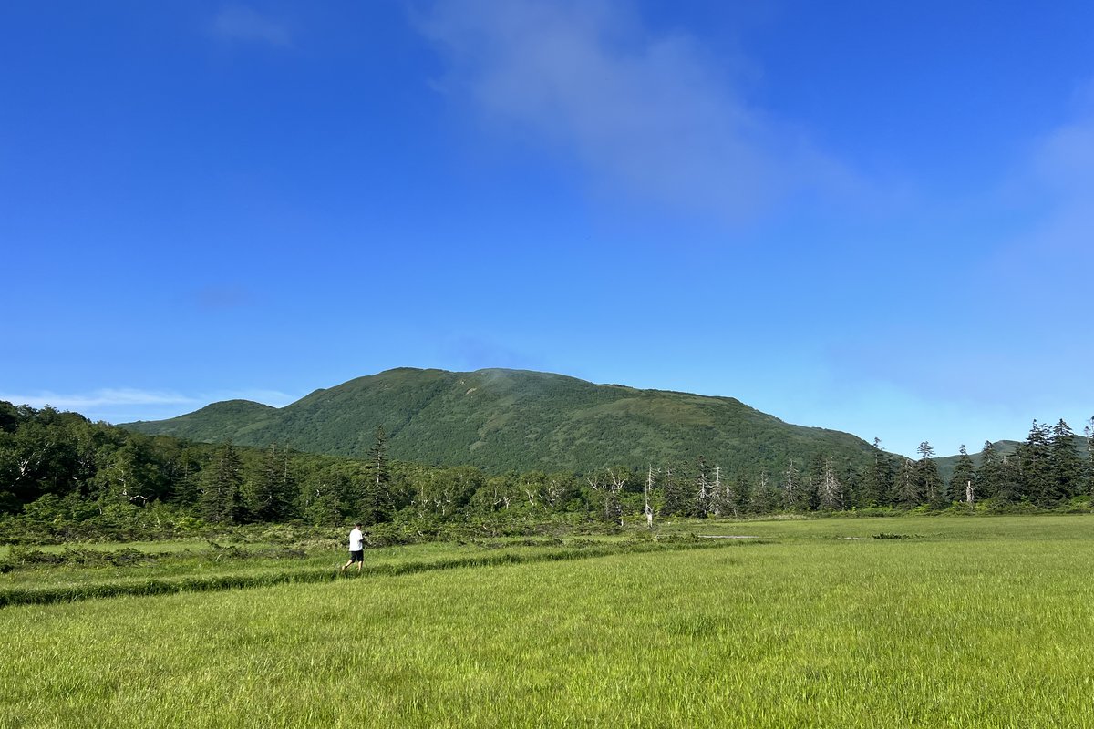 Hikers on the boardwalk across Shinsen-numa marsh