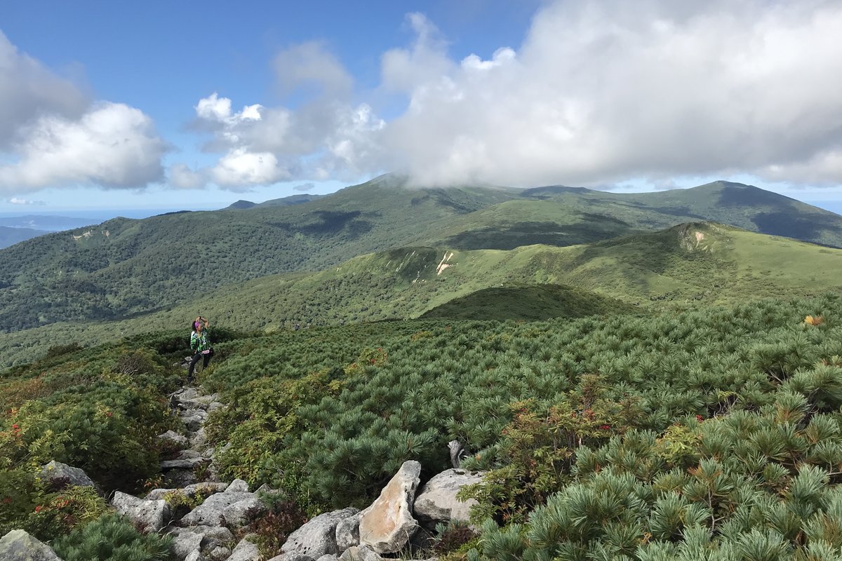 Twin-peak ridge crossing