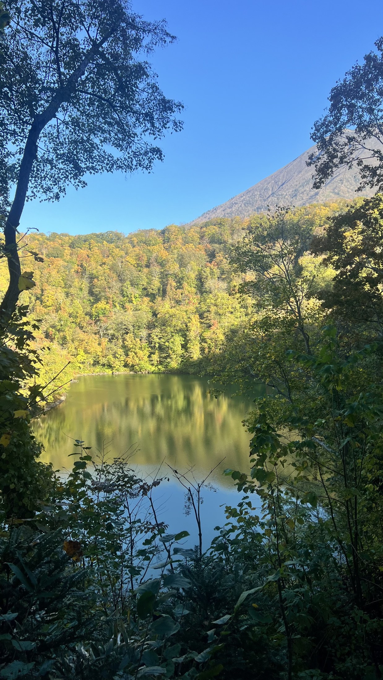 Half Moon Lake ringed by forest