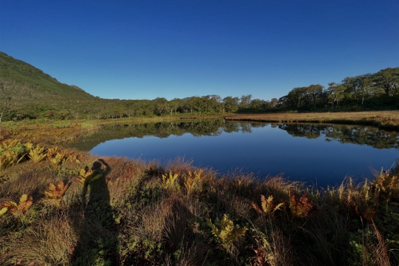 Mirror pond reflecting the mountains