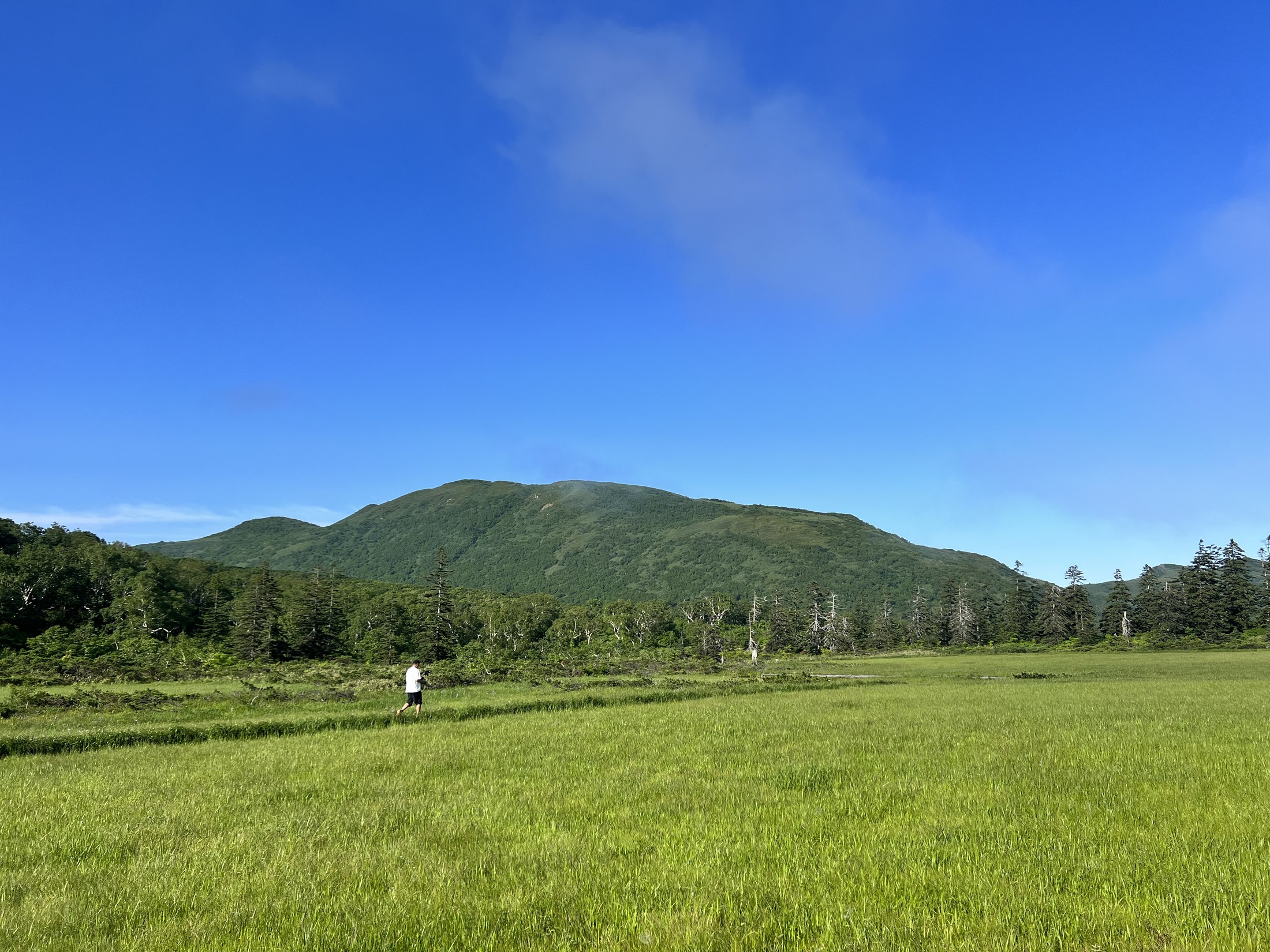 Boardwalk across Shinsen-numa marsh