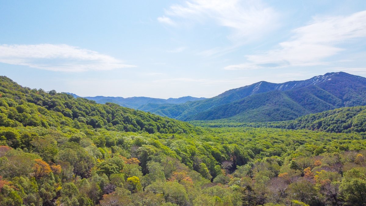 The season turning — green valleys below a snow-streaked peak