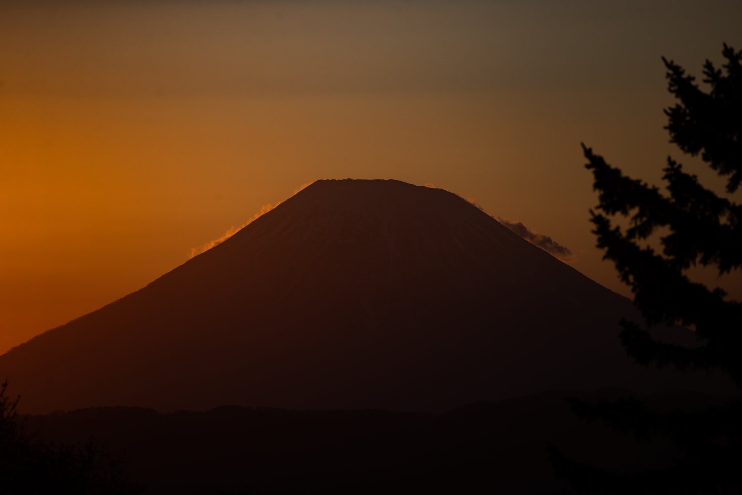 Mt. Yotei at dusk, a lone fir in silhouette