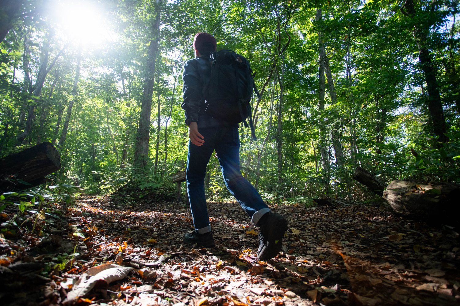 Walking gently into a green summer forest