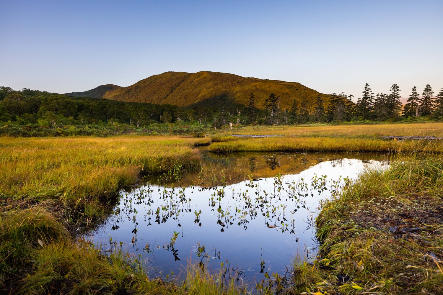 A highland marsh in the last light of day