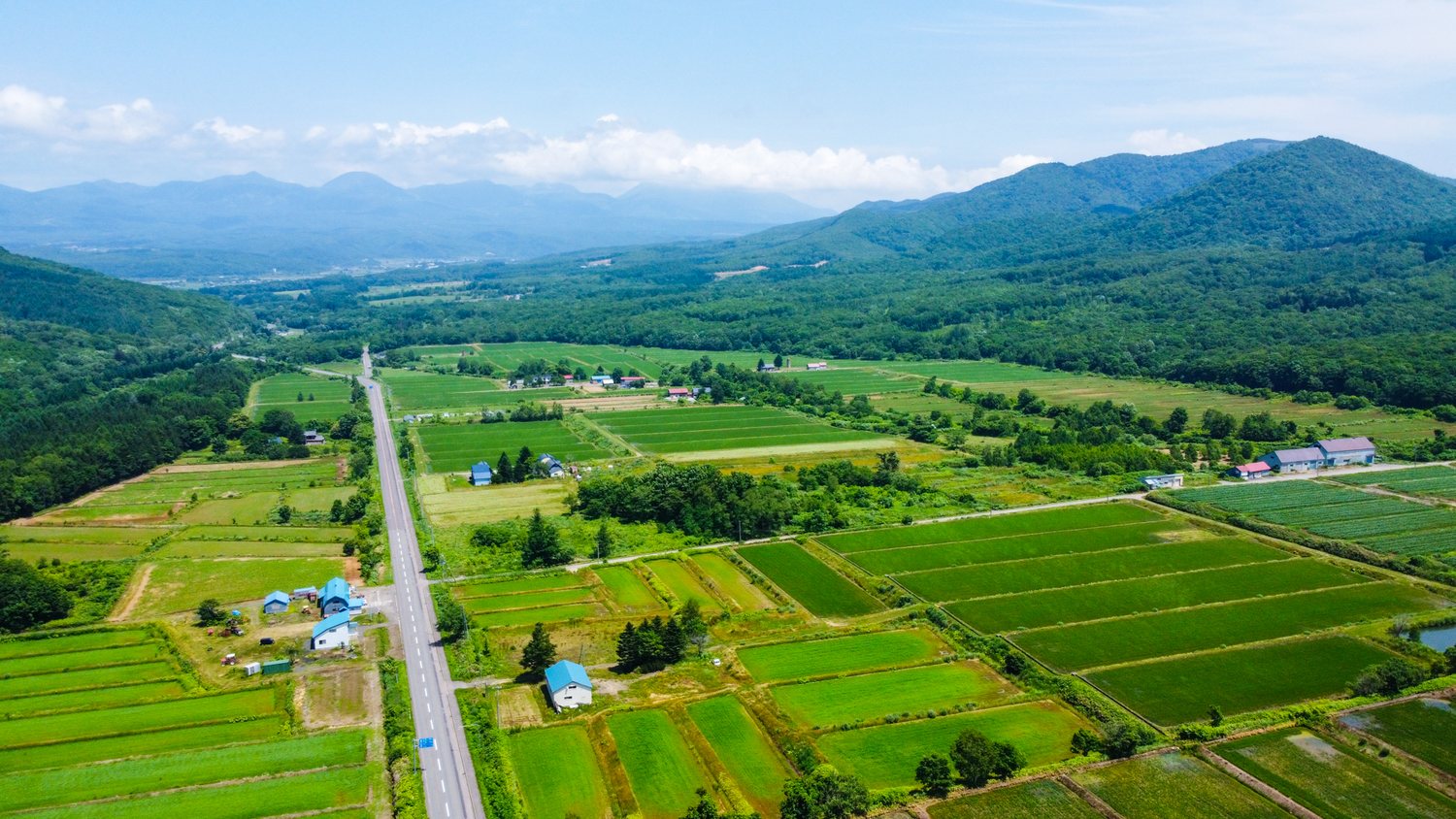 Aerial view over the green farmland of Niseko