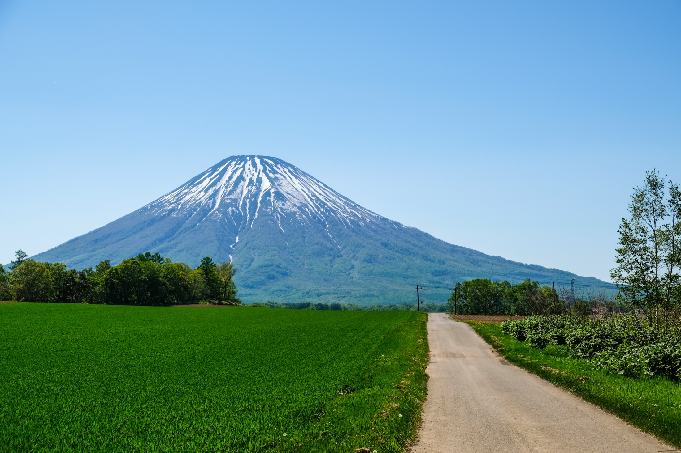 Mt. Yotei rising above the Niseko valley